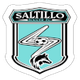 圣地亚哥足球俱乐部